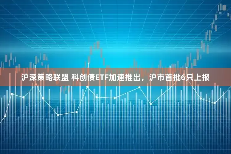 沪深策略联盟 科创债ETF加速推出，沪市首批6只上报