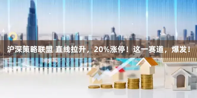 沪深策略联盟 直线拉升，20%涨停！这一赛道，爆发！