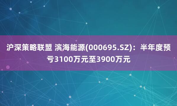 沪深策略联盟 滨海能源(000695.SZ)：半年度预亏3100万元至3900万元