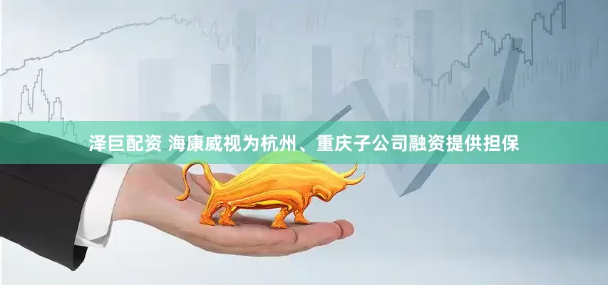 泽巨配资 海康威视为杭州、重庆子公司融资提供担保