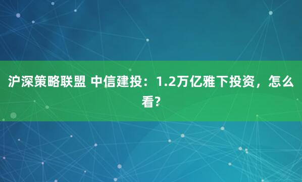 沪深策略联盟 中信建投：1.2万亿雅下投资，怎么看?